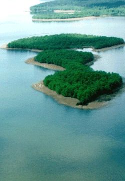Jezioro Wigry - Wyspy Brzozowe